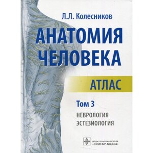 Анатомия человека. В 3-х томах. Том 3. Неврология, эстезиология. Колесников Л. Л.