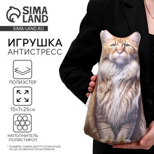 Антистресс игрушка, кот «Мейн-кун»