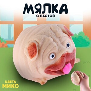 Антистресс игрушка «Собачка», мялка с пастой, цвета МИКС