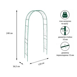 Арка садовая, 240 120 36.5 см, для вьющихся растений, металлическая, зелёная, «Веточка», Greengo