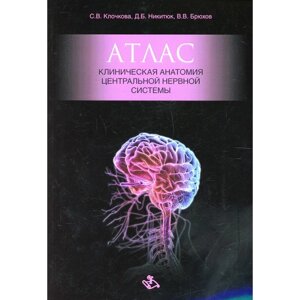 Атлас. Клиническая анатомия центральной нервной системы. Клочкова С. В.