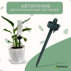 Автополив для комнатных растений, под бутылку, регулируемый, тёмно-зелёный, из пластика, высота 25 см, Greengo