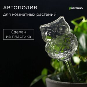 Автополив для комнатных растений, ПВХ, «Сова», 200 мл, Greengo