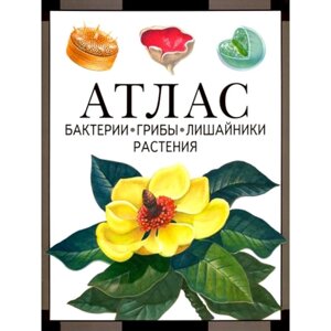 Бактерии, грибы, лишайники, растения. Атлас. 4-е издание. Черепанов И. В.