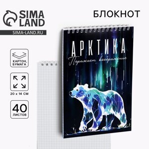 Блокнот «Арктика», А5, 40 л, картон