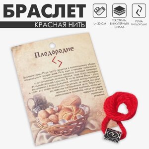 Браслет-амулет на нити «Красная нить» руна плодородие, цвет красный с чернёным серебром, 40 см