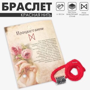 Браслет-амулет на нити «Красная нить» руна процветание, цвет красный с чернёным серебром, 30 см