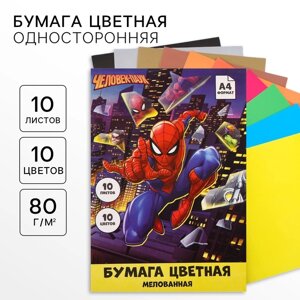 Бумага цветная, А4, 10 листов, 10 цветов, мелованная, односторонняя, в папке, 80 г/м²Человек-паук