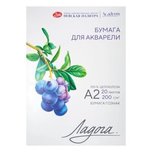 Бумага для Акварели в папке А2, ЗХК "Ладога", 20 листов, 200 г/м2, среднезернистая, 252781931