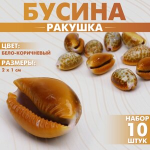 Бусина «Ракушка», 21 см, гладкая. (набор 10 шт. цвет бело-коричневый