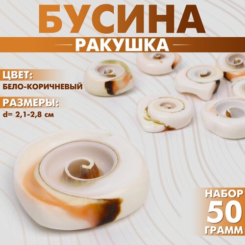 Бусина «Ракушка» спираль, 2,1-2,8 см, набор 50 г), цвет бело-коричневый