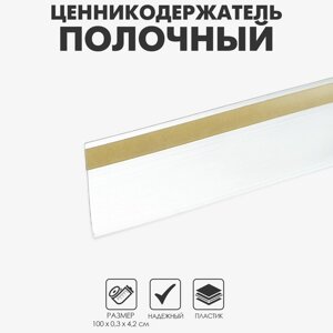 Ценникодержатель полочный самоклеящийся, DBR39, 1000мм, цвет прозрачный