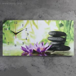 Часы-картина настенные, на холсте, серия: Цветы, "Цветы и камни", 40х76 см
