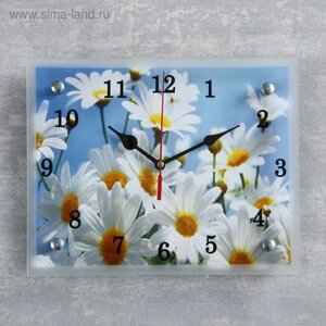 Часы-картина настенные, серия: Цветы, "Ромашки", 20х25 см