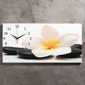 Часы-картина настеные, интерьерные "Белый цветок на камнях", бесшумные, 40 х 76 см