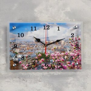 Часы настеные, интерьерные "Париж", бесшумные, 20 х 30 см