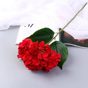Цветы искусственные "Гортензия экстра" d-16 см 55 см, красный