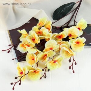 Цветы искусственные "Орхидея фаленопсис" 8х80 см, жёлтый