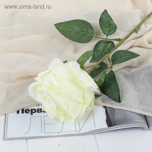 Цветы искусственные "Роза Охара" 8,5х56 см, белый