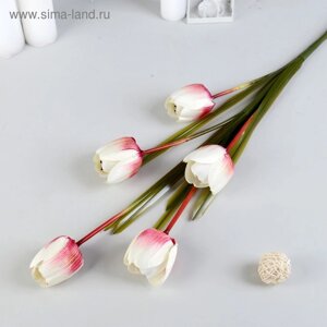Цветы искусственные "Тюльпан Аморета" 4*90 см, размер бутона 6х4см) белый с малиновым