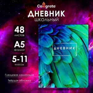 Дневник для 5-11 классов, "Перья", твердая обложка 7БЦ, глянцевая ламинация, 48 листов