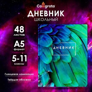 Дневник для 5-11 классов, "Перья", твердая обложка 7БЦ, глянцевая ламинация, 48 листов