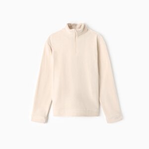 Джемпер флисовый мужской MINAKU: Fleece Soft, размер 44, бежевый