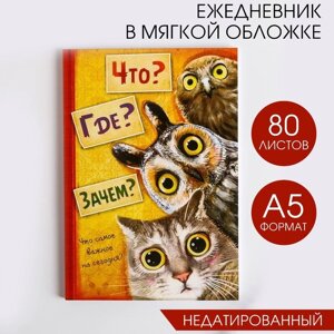 Ежедневник "Что? Где? Зачем?А5, 80 листов