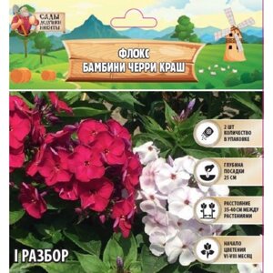 Флокс «Бамбини Черри Краш» корневище в пакете с торфогрунтом, р-р I, 2 шт.