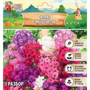 Флокс «смесь сортов», корневище в пакете с торфогрунтом, I, 2 шт.