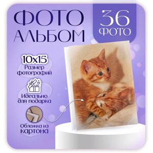 Фотоальбом на 36 фото 10х15 см Pioneer Puppies and kittens рыжие котята