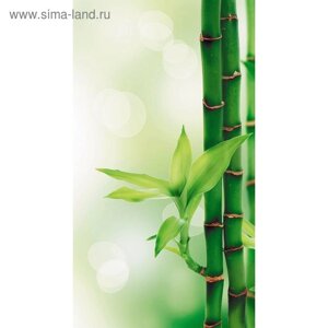 Фотообои "Бамбук" 1-А-111 (1 полотно), 150х270 см