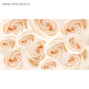 Фотообои "Белые розы" 2-А-206 (1 полотно), 270x150 см