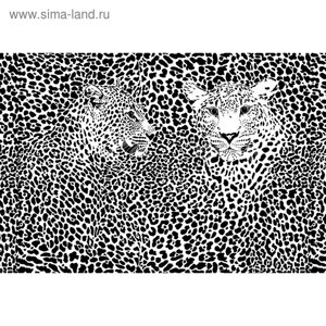 Фотообои "Черно-белые леопарды" M 604 (2 полотна), 200х135 см
