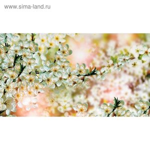 Фотообои "Цветение яблони" 2-А-290 (1 полотно), 270x150 см