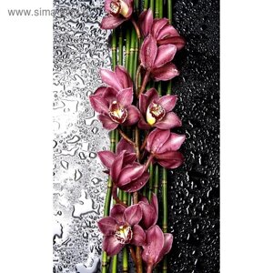 Фотообои флизелиновые 3D Flizetto "Дикая Орхидея" 200х270