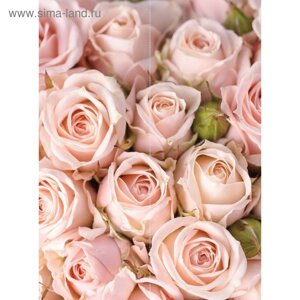 Фотообои флизелиновые Flizetto Matrix «Розовые розы» 200х270 см