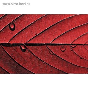 Фотообои "Красный лист" M 413 (4 полотна), 400х270 см