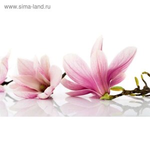 Фотообои "Розовые цветы" 2-А-260 (1 полотно), 270x150 см