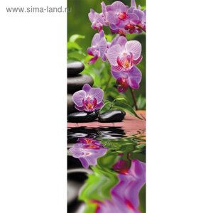 Фотообои "СПА орхидея" M 104 (1 полотно), 100х270 см