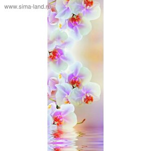 Фотообои "Светлая орхидея" M 101 (1 полотно), 100х270 см