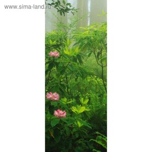 Фотообои "Тропический лес" С-041 (1 полотно), 95x220 см