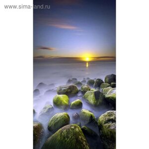 Фотообои "Восход на берегу" 1-А-144 (1 полотно), 150х270 см