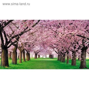 Фотообои "Яблоневый сад" 2-А-214 (1 полотно), 270x150 см