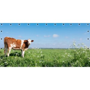 Фотосетка, 314 155 см, с фотопечатью, люверсы шаг 0.3 м, «Корова»