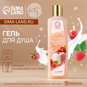 Гель для душа, 250 мл, аромат малинового коктейля, AROMA SOUND by URAL LAB