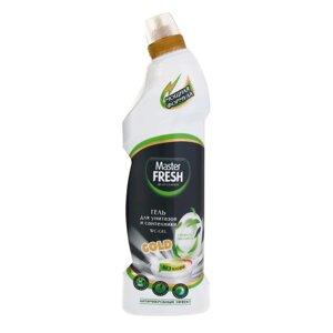 Гель для унитазов и сантехники Master FRESH с эвкалиптом, 750 мл