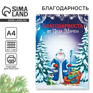 Грамота благодарность новогодняя «Дед Мороз и змейка», на Новый год, А4