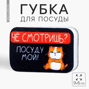 Губка поролоновая «Чё смотришь?9 х 6 см