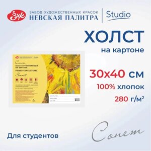 Холст на картоне 30 х 40 см, хлопок 100%акриловый грунт, мелкозернистый, ЗХК "Сонет", DK13701-30x40